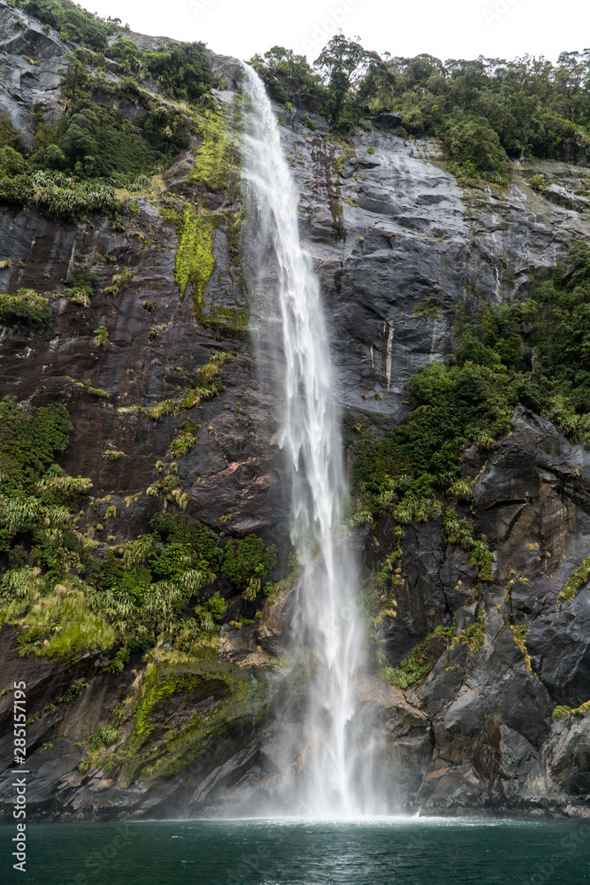 Fototapeta premium waterfall in Milford Sound on the south Island