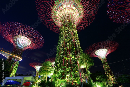 Supertrees, trees are illuminated by different lights in Gardens by the Bay in Singapore