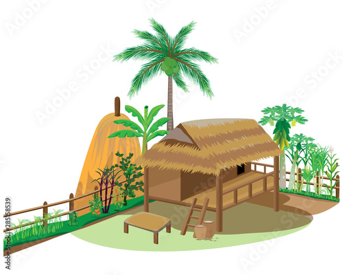 hay straw hut and vegetable vector design
