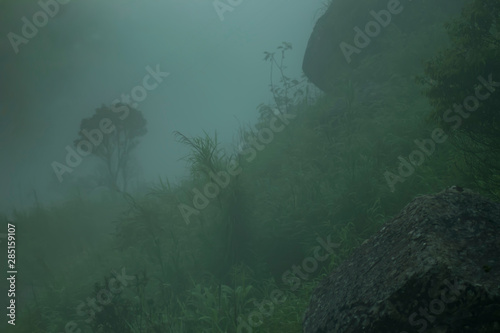 Foggy mountains of Meghalaya, India