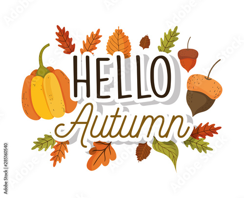 hello autumn season flat design