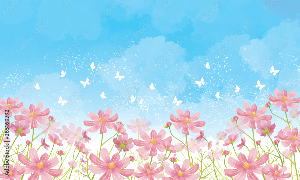 秋桜 秋 花 満開 花畑 空 水彩 背景 背景素材 蝶 Stock ベクター Adobe Stock 秋桜 秋 花 満開 花畑 空 水彩 背景 背景素材 蝶 Stock ベクター Adobe Stock