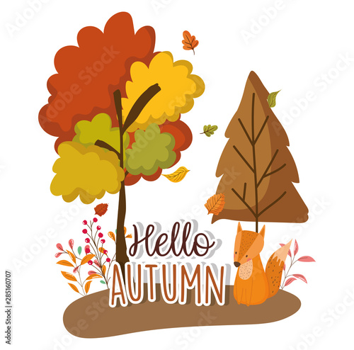 hello autumn season flat design