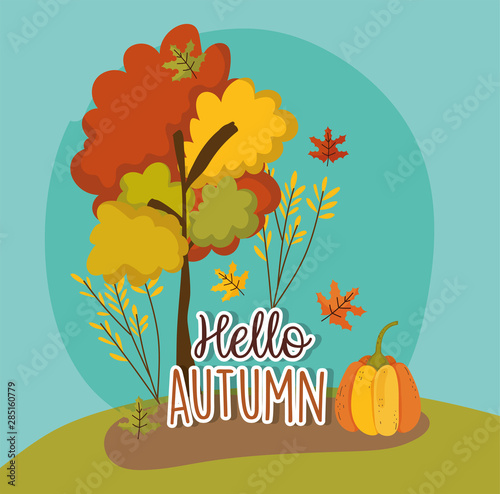 hello autumn season flat design