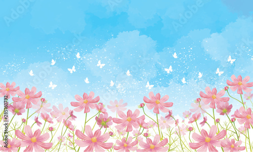 秋桜 秋 花 満開 花畑 空 水彩 背景 背景素材 蝶 Stock Vector Adobe Stock 秋桜 秋 花 満開 花畑 空 水彩 背景 背景素材 蝶 Stock Vector Adobe Stock