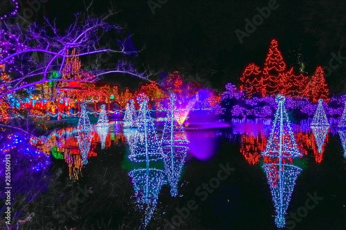 Christmas Lights Reflection Van Dusen Garden Vancouver BC Canada