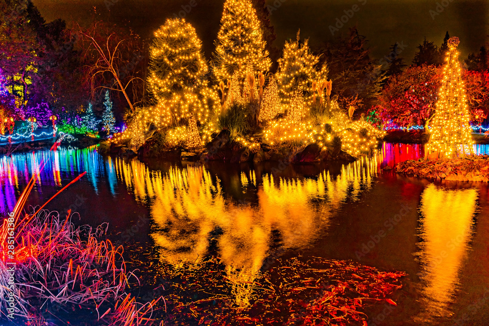Obraz premium Christmas Lights Reflection Van Dusen Garden Vancouver BC Canada