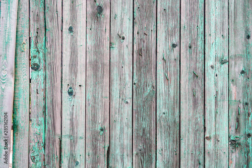 Wooden fence background, old green paint.