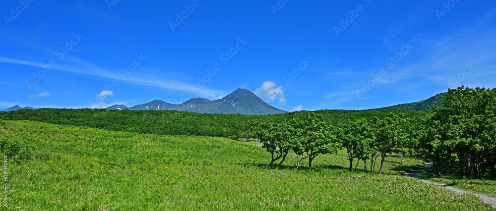 Obraz premium フレペの滝遊歩道から見る青空バックの知床連山の情景＠知床、北海道