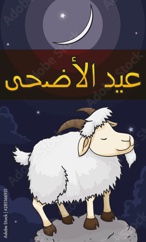 Goat over Rock in Night with Moon of Eid al-Adha, Vector Illustration photo