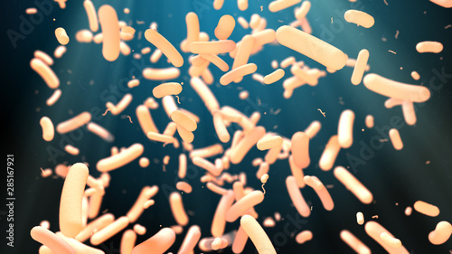 Gut flora microflora microbiota bacteria microbe for healthy gut - 3D render