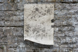 paper on old wall