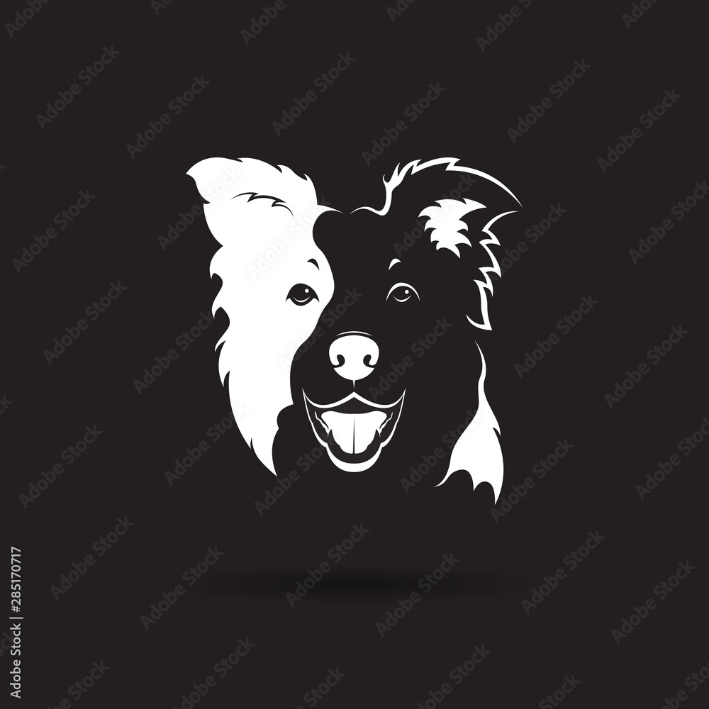 Vector of a border collie dog on black background. Pet. Animal. Dog logo or icon. Easy editable layered vector illustration.