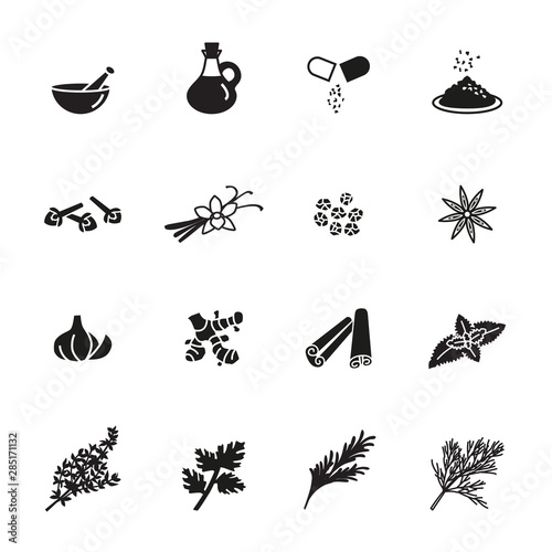 spice; condiment and herb icons set with white background. .