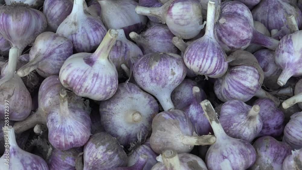 Garlic is essential in Middle Eastern and Arabic cooking, with its presence in many food items. Garlic is essential in Middle Eastern and Arabic cooking, with its presence in many food items.