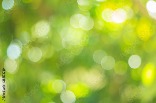 green nature light background, abstract green bokeh