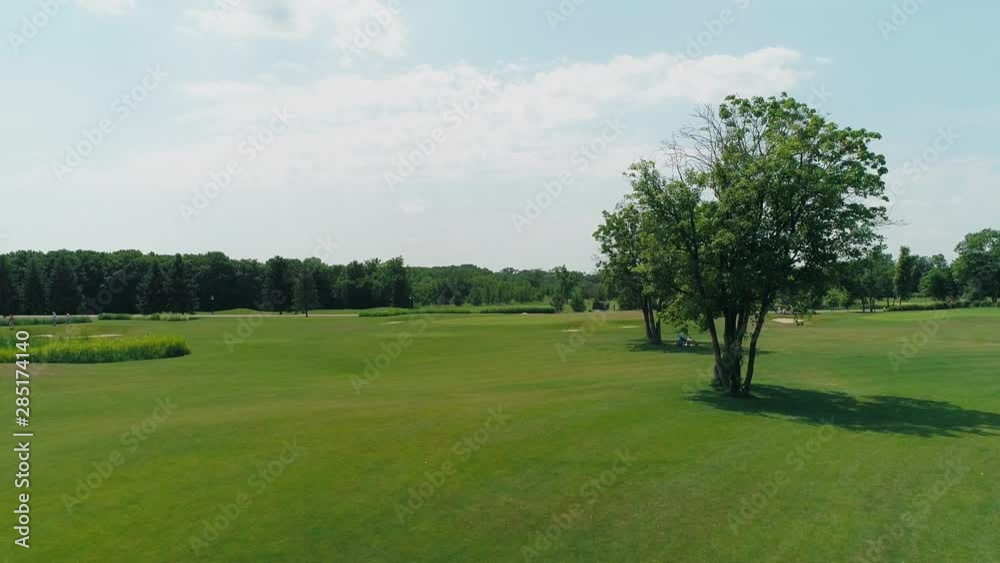Aerial view of a green golf course with beautiful trees and forest, blue sky with clouds on sunny day in the summer time. 4K drone footage.