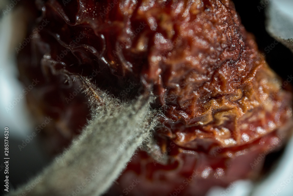 close up of field berry macro close up of field berry macro