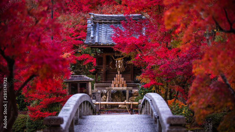 Fototapeta premium Prefektura Kioto Eikando jesienne liście