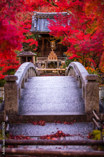 京都府 永観堂 紅葉