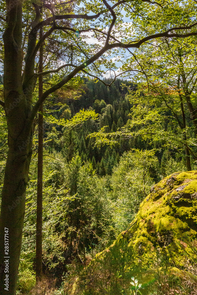 Thüringer Wald Gießübel Rennsteig Thüringer Wald Gießübel Rennsteig