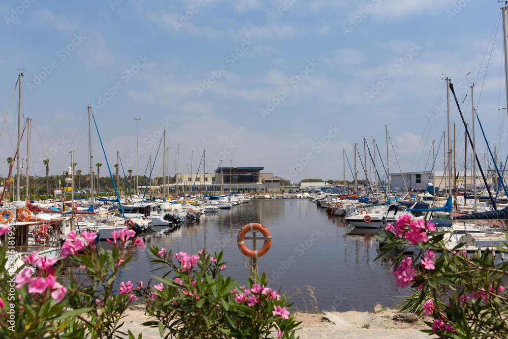 Marina de las Dunas Guardamar del Segura Spain with boats and yachts and pink flowers
