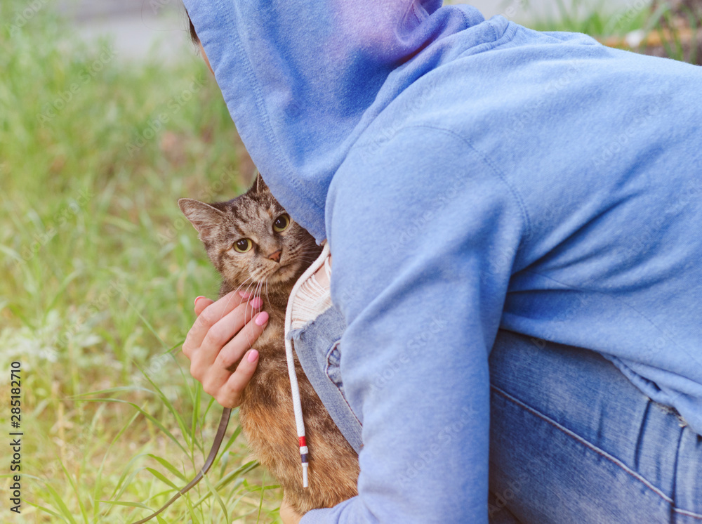 girl in a sweatshirt holds a domestic cat in her arms on the street