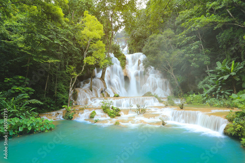 Fototapeta Naklejka Na Ścianę i Meble -  Kuang Si Waterfalls in Luang Prabang Laos. Long exposure. Beautiful waterfall in wild jungle