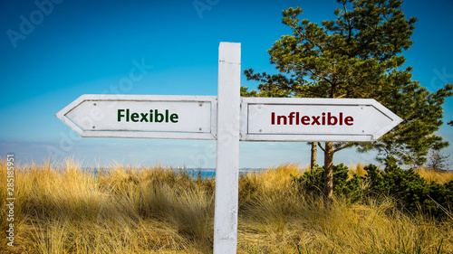 Street Sign Flexible versus Inflexible photo