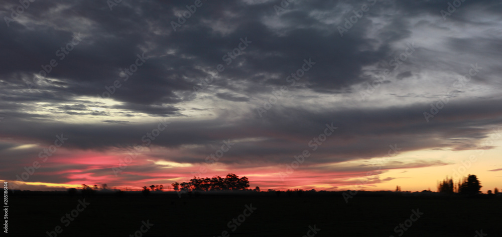 panoramic wide view of a colorful cloudy sunset in rural farmland with trees silhouetted against the orange sky. rural Victoria, Australia