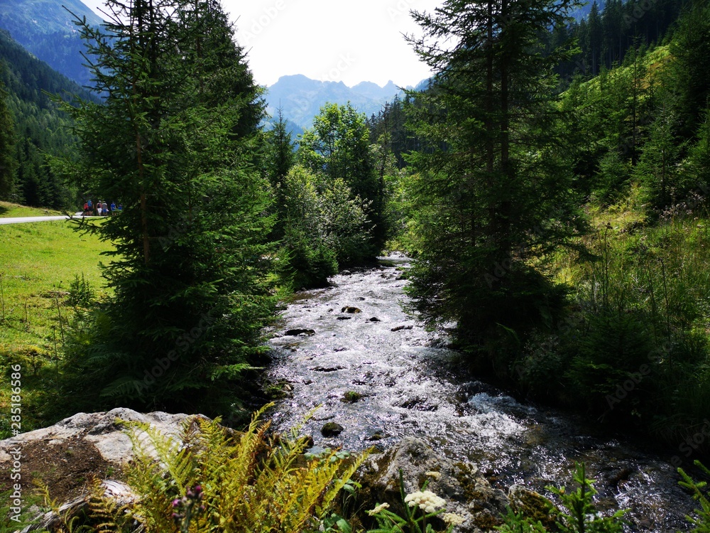 Obraz premium Steirischer Bodensee Ennstal