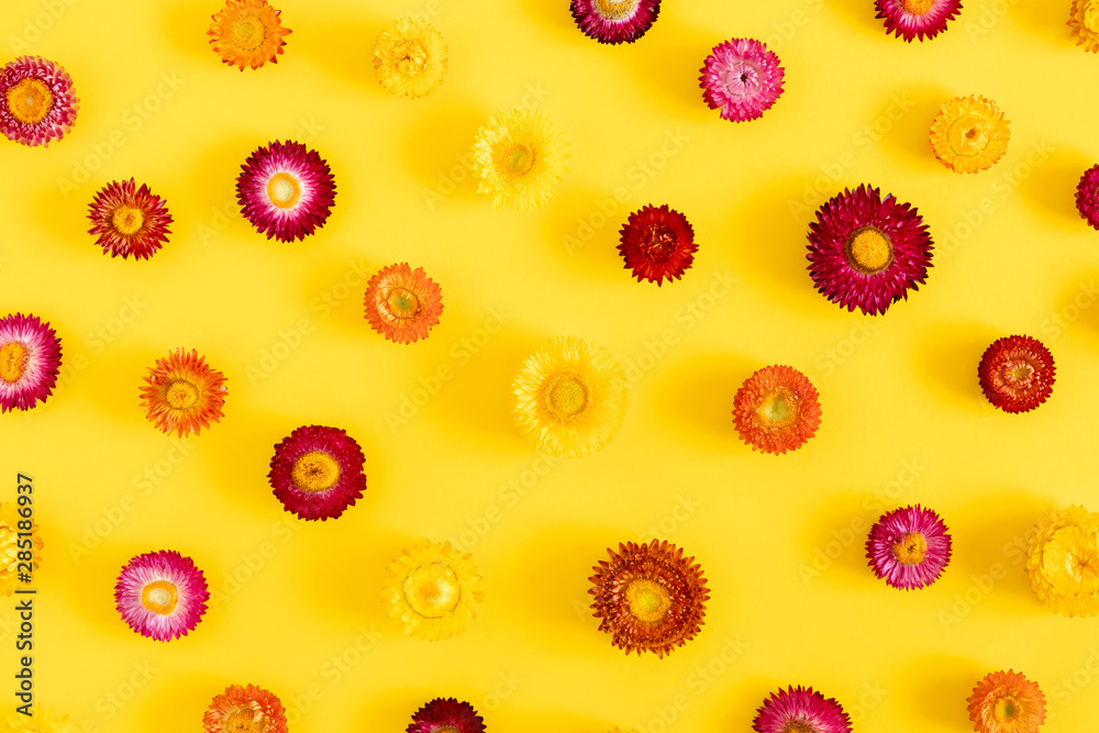 Flowers creative composition. Colorful flowers on yellow background. Flat lay, top view, copy space Flowers creative composition. Colorful flowers on yellow background. Flat lay, top view, copy space