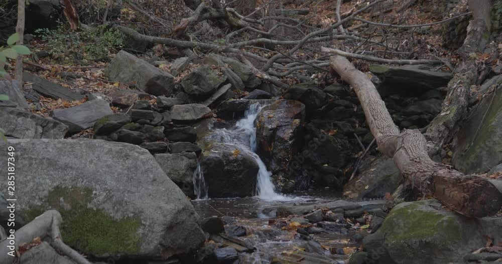Water flowing through rocks and autumn leaves in Wissahickon