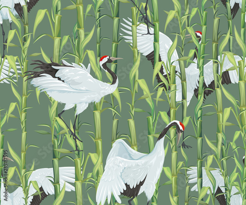 Seamless pattern with bamboo thickets and Japanese cranes