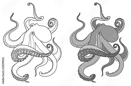 octopus stylization