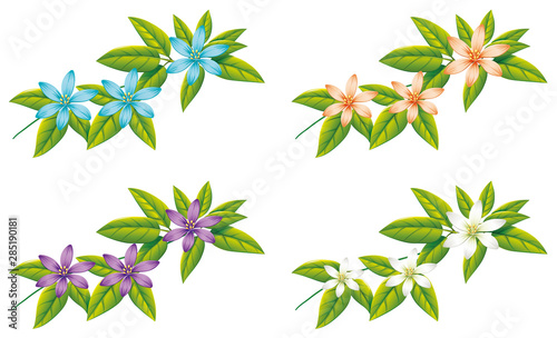 Four different color of flowers on green leaves