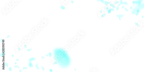 Turquoise flower petals falling down. Favorable ro