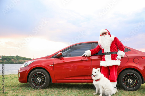 Santa Claus with cute dog n...