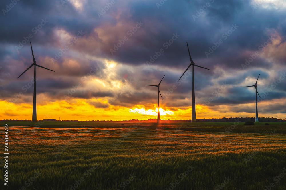 wind generators in yellow sunlight wind generators in yellow sunlight
