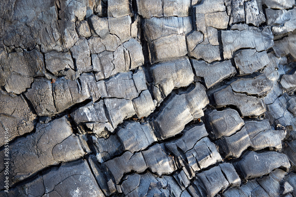 Charcoal. Burnt firewood. Close-up.Burning charcoal firewood in the fireplace or the stove. Charcoal. Burnt firewood. Close-up.Burning charcoal firewood in the fireplace or the stove.