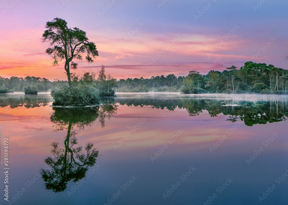Sunrise reflected in a lake in a forest in the South of The Netherlands