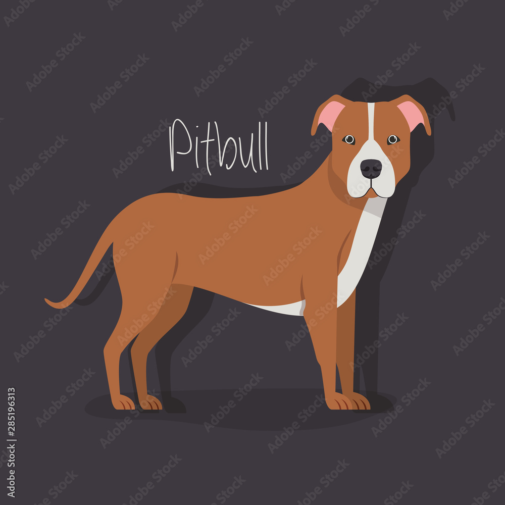 cute pitbull dog pet character