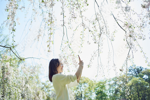 スマートフォンで桜の花を撮影する女性 photo