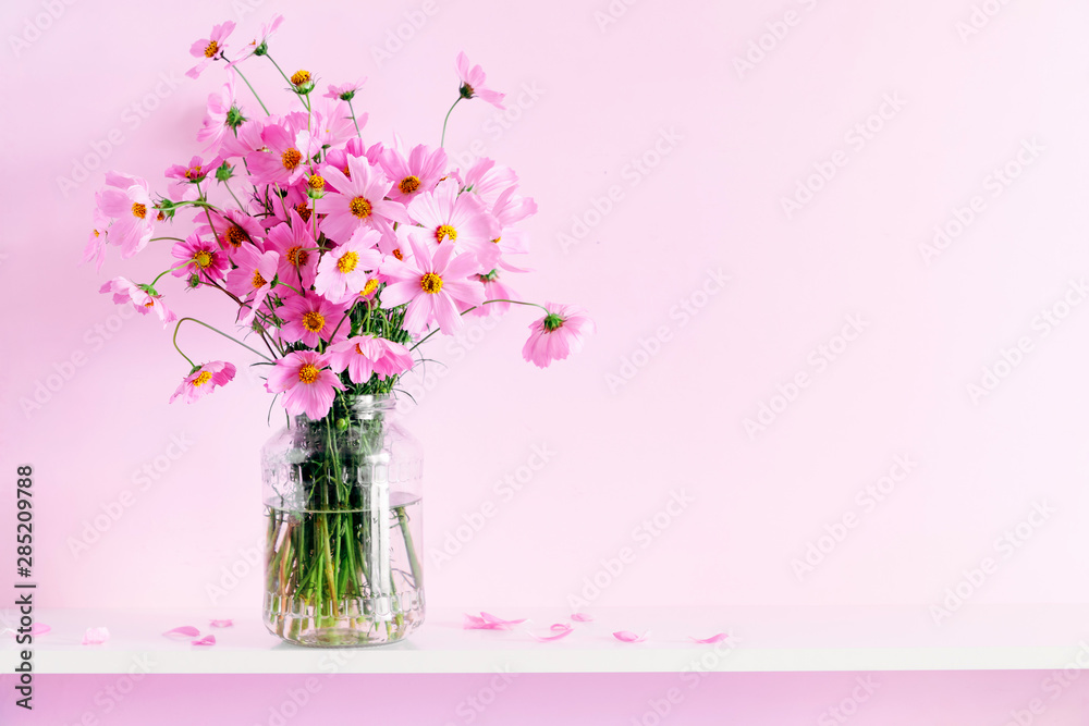 Fresh summer bouquet of pink cosmos flowers in glass vase on white wood shelf on pink wall background. Floral home decor.