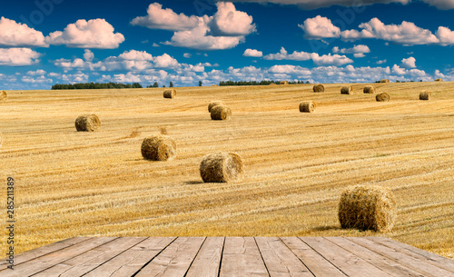 Agricultural landscape with ripening wheat field and beautiful summer cumulus...