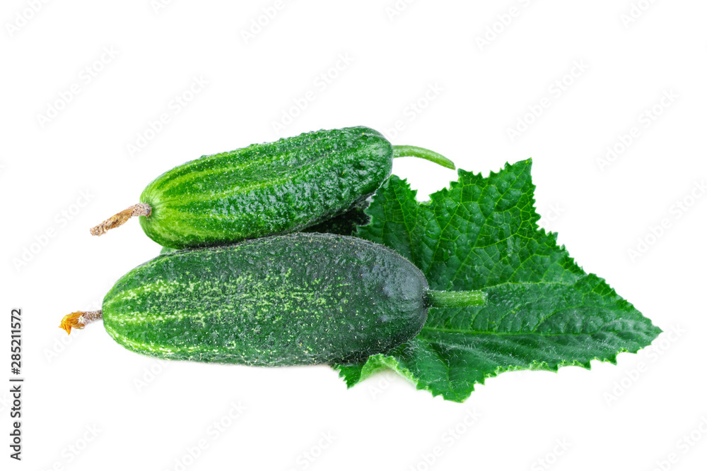 Cucumbers with leaf. Small unripe cucumbers or gherkins isolated on white background. Cucumbers with leaf. Small unripe cucumbers or gherkins isolated on white background.