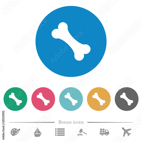 Single bone flat round icons photo