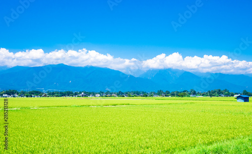 夏の信州 安曇野の田園風景