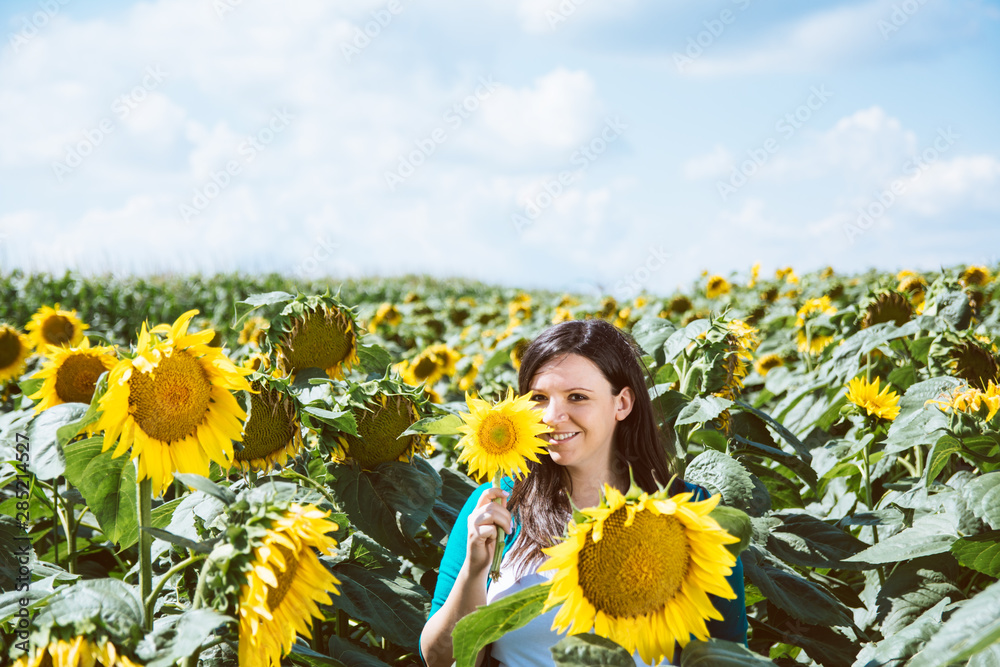 Beautiful girl in yellow field of sunflowers Beautiful girl in yellow field of sunflowers