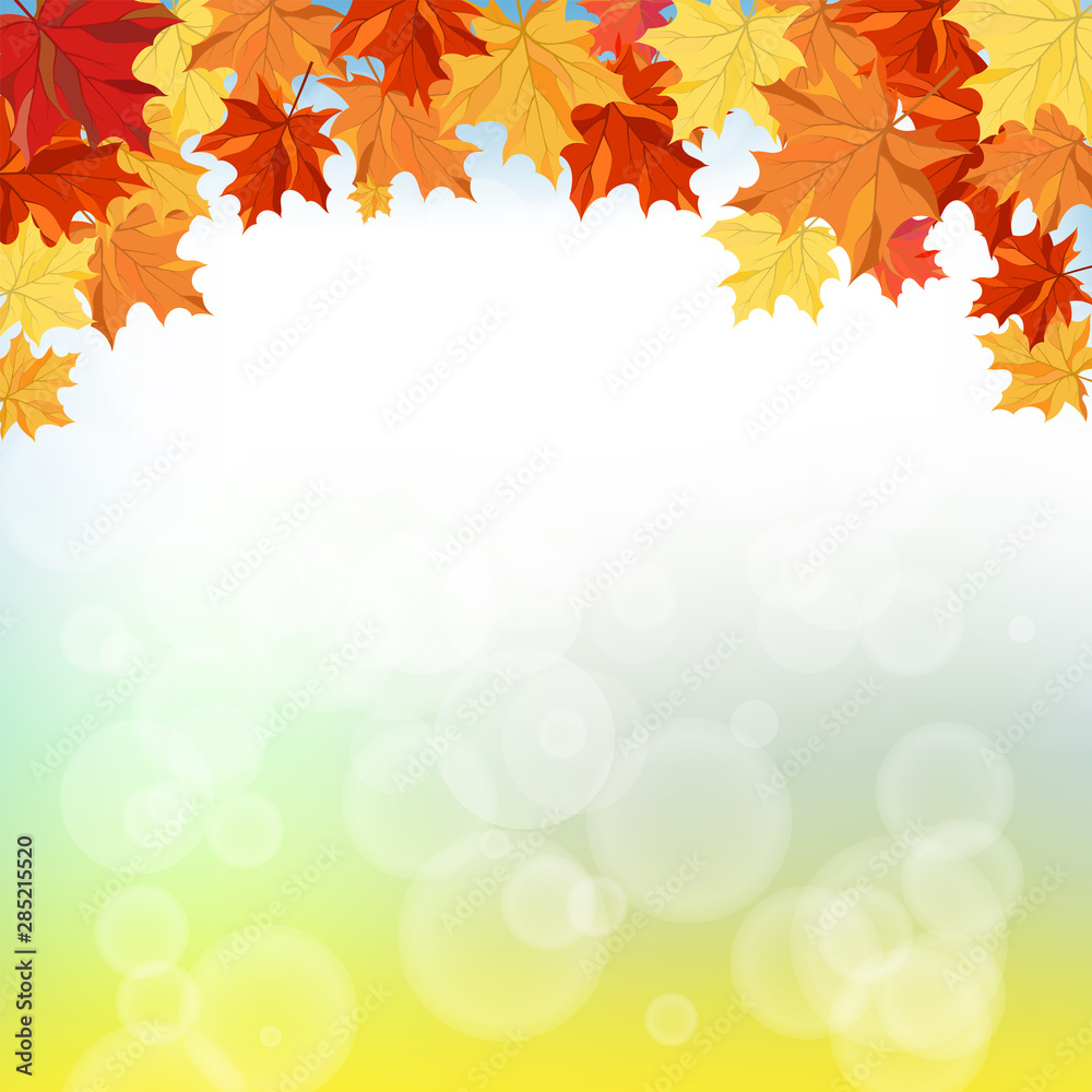 Fall (Autumn) Background